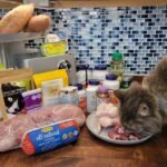 What is the Best Homemade Food for Cats: Nutritious & Easy Recipes