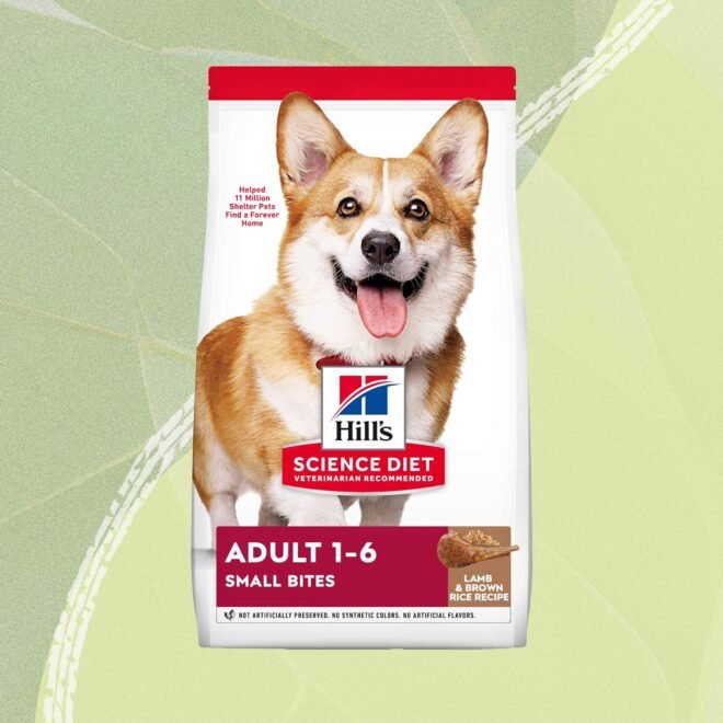 Best Dry Dog Food For Large Breeds: Top Picks for Healthy Growth