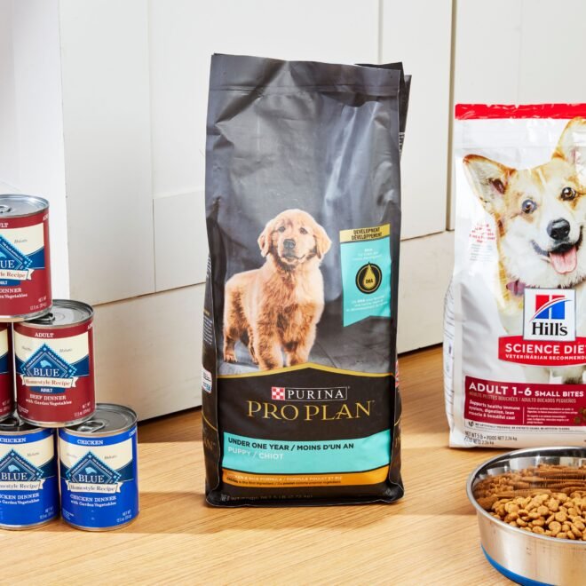 Best Dog Food Best Healthy Dog Food