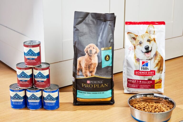 Best Dog Food Best Healthy Dog Food