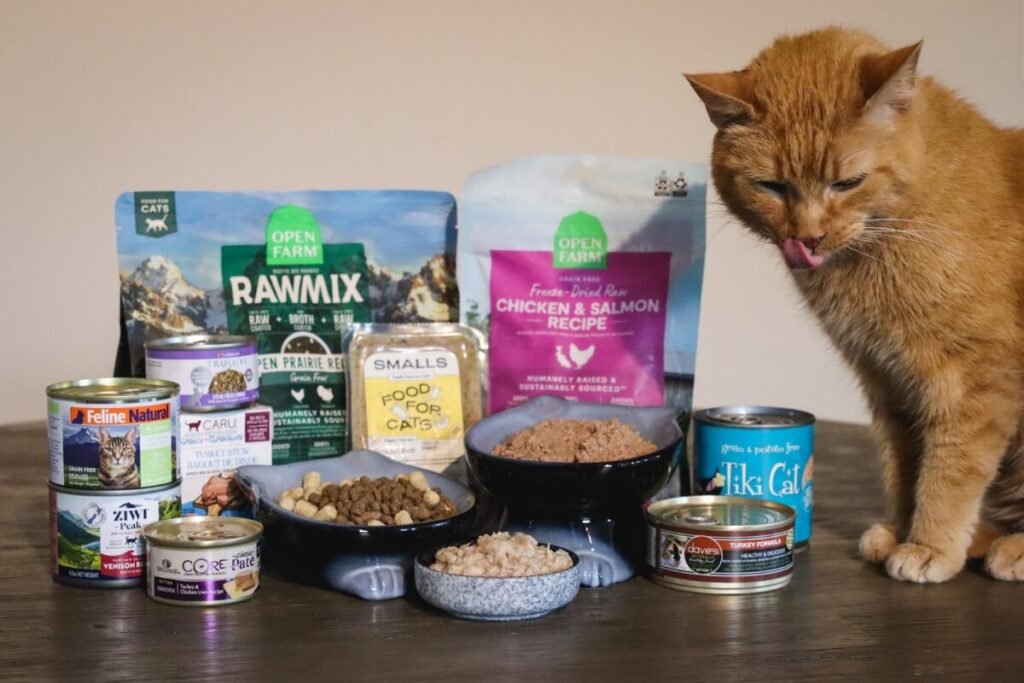 What Is The Safest Cat Food On The Market