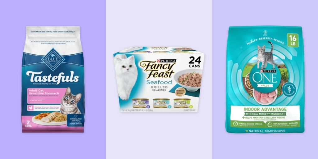 What Brand Of Cat Food Is Healthiest