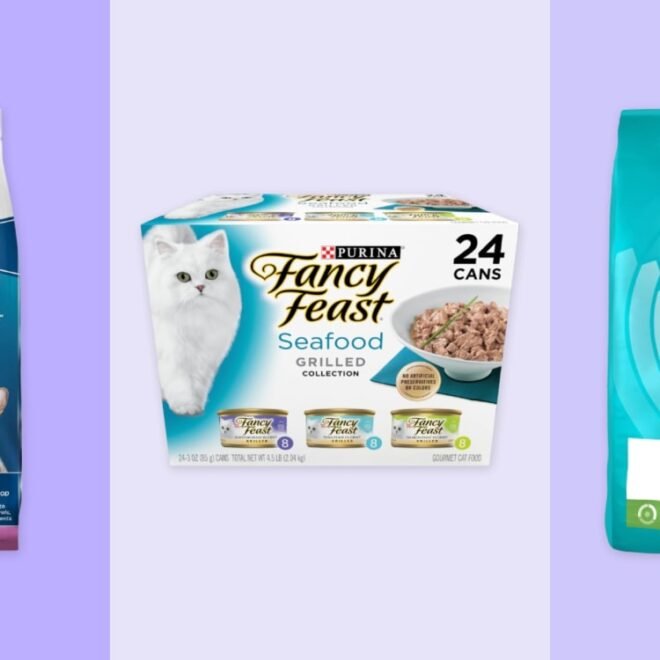 What Brand Of Cat Food Is Healthiest: Vet-Backed Picks 2026