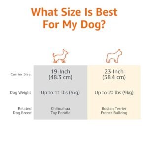 Pet Carrier Vs Backpack For Dogs Pros And Cons: 2026 Guide