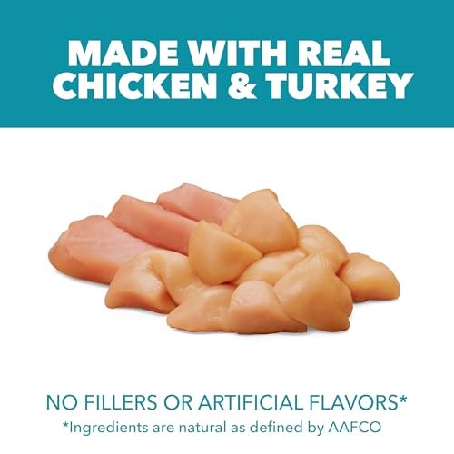 Best Cat Food For Hair Loss: Vet-Approved Picks 2026