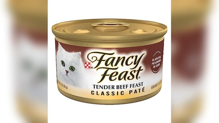 Best Beef Cat Food 2026: Top Picks for Healthy Feline Nutrition