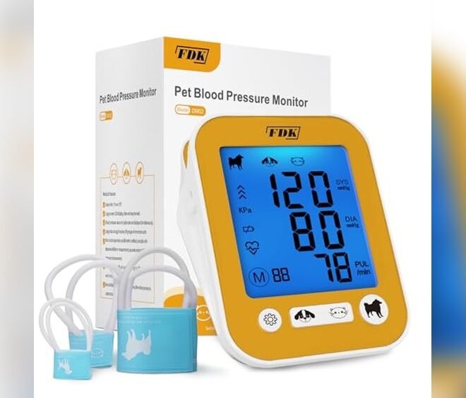 Best Pet Symptom Checker Tools for Accurate Diagnosis 2026