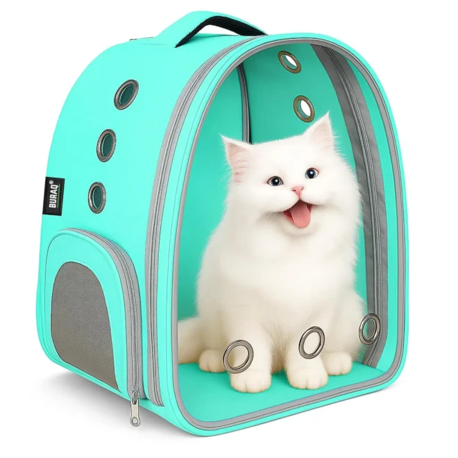 Transparent Pet Bag For Cat Small Dog Puppy Kitty Shihtzu: Ultimate Travel Comfort!