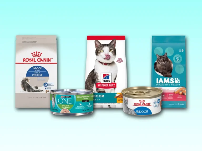 What Are The Top 5 Healthiest Cat Foods For Kittens?: Guide