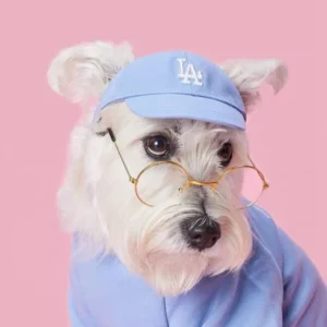 Cotton Baseball Cap For Dogs Adjustable Sun Hat With Ear Holes Visor: Ultimate Comfort & Style Guide