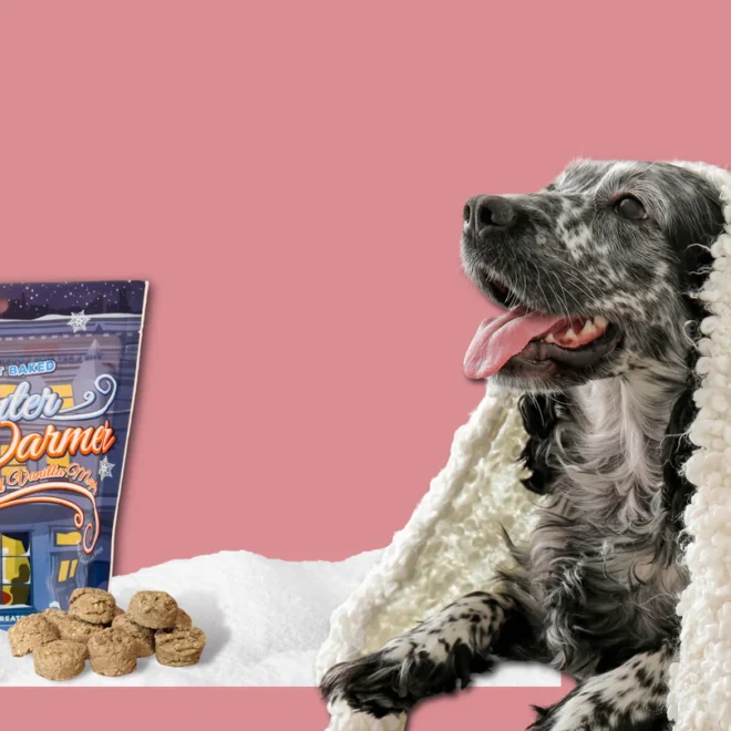 Lazy Dog Cookie Co Issues Voluntary Recall Of Select Pup Pies Product: Urgent Safety Alert!