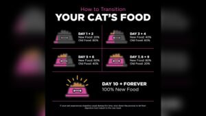 How Can I Transition My Cat To A New Food: Easy Steps for Success