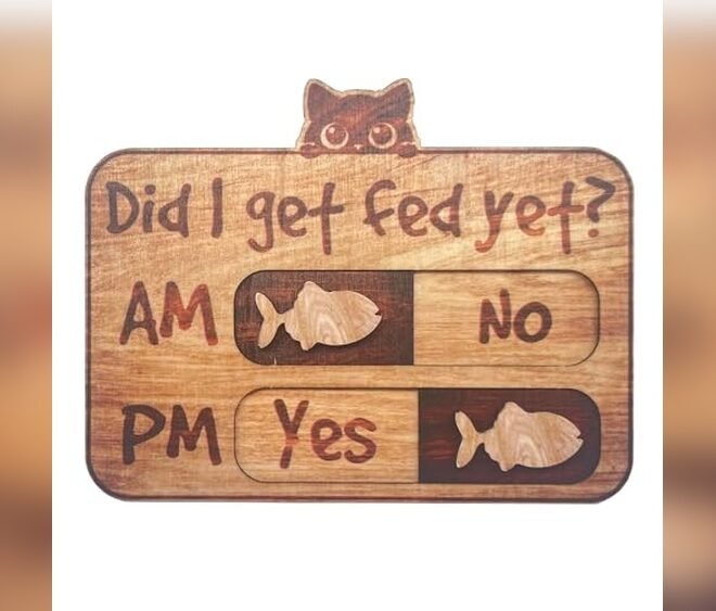 How Do I Know If My Cat Is Eating Enough in 2026: Top Food Picks