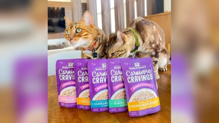 My Cat Is A Picky Eater How Do I Encourage Them To Eat: Proven Tips