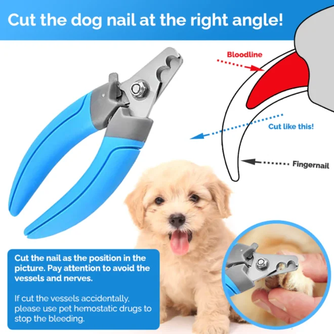 Professional Dog Nail Cutter With Nail Filer Trim: Ultimate Grooming Tool