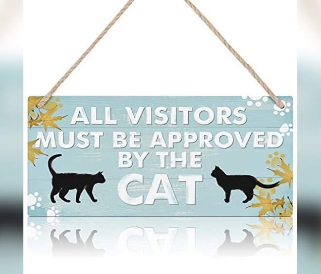 Signs Your Cat May Be Crying Out For Help: Top Products 2026