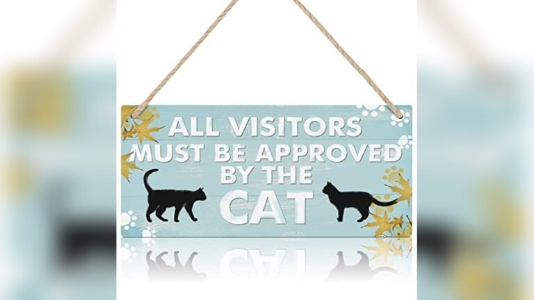 Signs Your Cat May Be Crying Out For Help: Top Products 2026