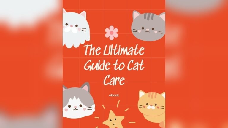 The Basics Of Caring For A Cat A Guide For New And Experienced Cat Parents: Essential Tips