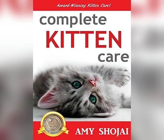 The Basics Of Caring For A Cat A Guide For New And Experienced Cat Parents 2026 Essentials and Top Products