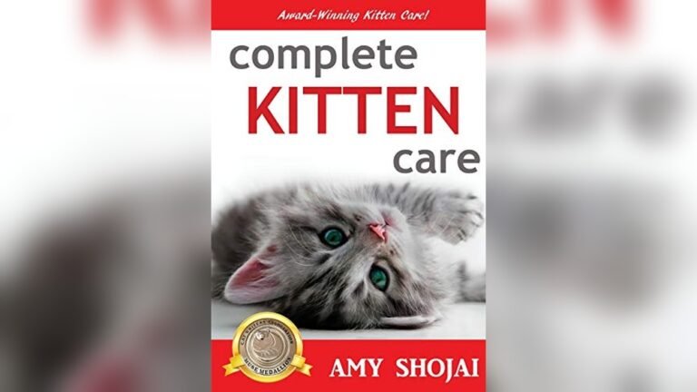 The Basics Of Caring For A Cat A Guide For New And Experienced Cat Parents 2026 Essentials and Top Products