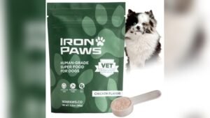 The Top 10 Superfoods For Dogs to Buy in 2026 for Health