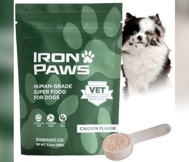 The Top 10 Superfoods For Dogs to Buy in 2026 for Health