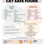 What Human Foods Are Safe For Cats?: Vet-Approved Guide