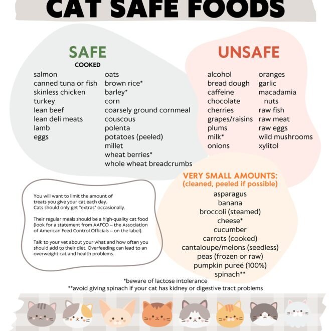 What Human Foods Are Safe For Cats?: Vet-Approved Guide