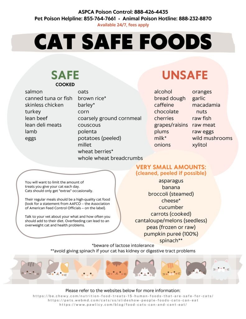 What Human Foods Are Safe For Cats?