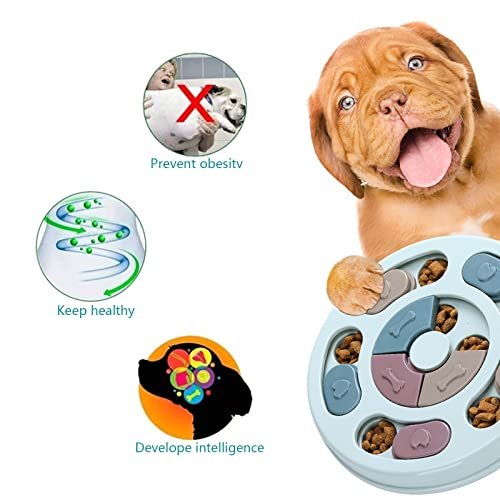 Best Dog Puzzle, Dogs Food Toys
