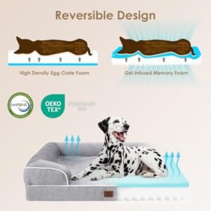 Best Pet Bed: Top Picks For Comfort & Durability