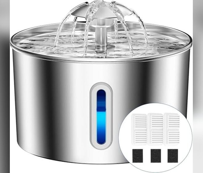 Cat Water Fountain Stainless Steel – Quiet 74oz Pet Dispenser Review