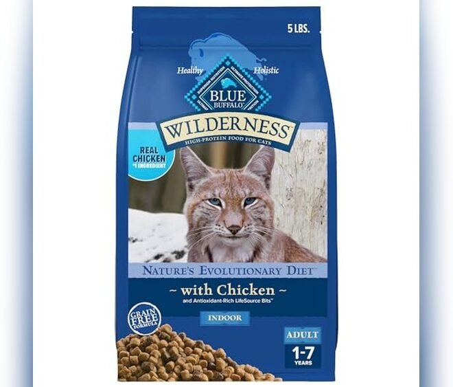 Blue Buffalo Dry Cat Food Wilderness Adult Indoor Chicken Reviews: Honest Insights