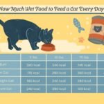 How Many Cans of Wet Food for Cat Per Day: The Ultimate Guide