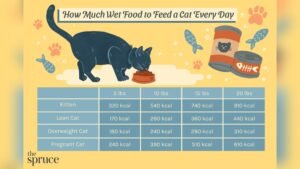 How Many Cans of Wet Food for Cat Per Day: The Ultimate Guide