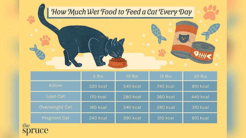 How Many Cans of Wet Food for Cat Per Day