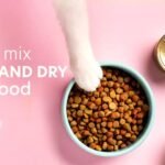 Can You Mix Different Dry Cat Foods Together for Better Nutrition?