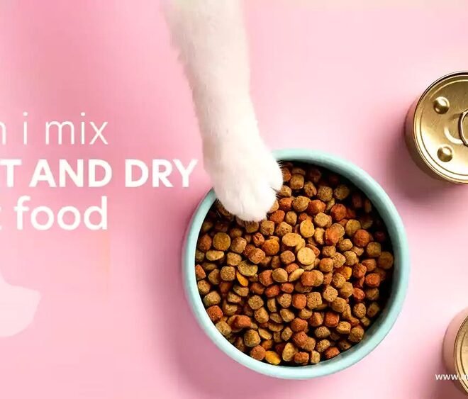 Can You Mix Different Dry Cat Foods Together for Better Nutrition?
