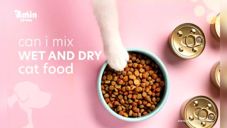 Can You Mix Different Dry Cat Foods Together for Better Nutrition?