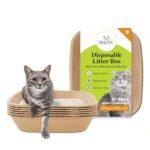 Does Walgreens Sell Litter Boxes? Find Durable and Eco-Friendly Options Here