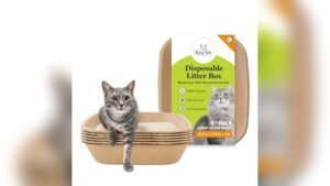 Does Walgreens Sell Litter Boxes? Find Durable and Eco-Friendly Options Here