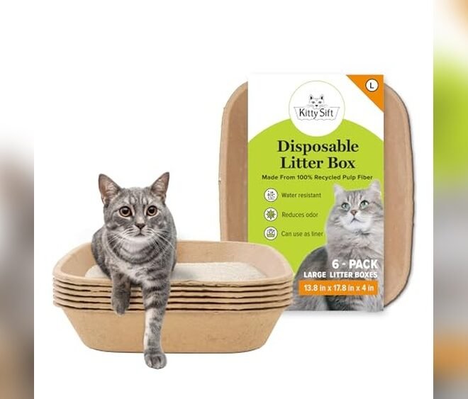 Does Walgreens Sell Litter Boxes? Find Durable and Eco-Friendly Options Here