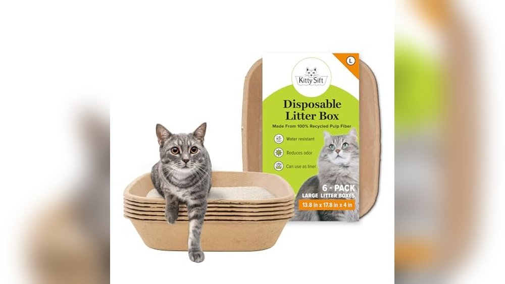 Does Walgreens Sell Litter Boxes