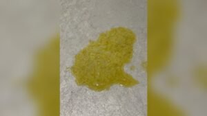 Dog Throwing Up Yellow Bile But Acting Normal: Causes & Solutions