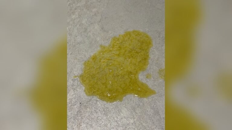 Dog Throwing Up Yellow Bile But Acting Normal: Causes & Solutions