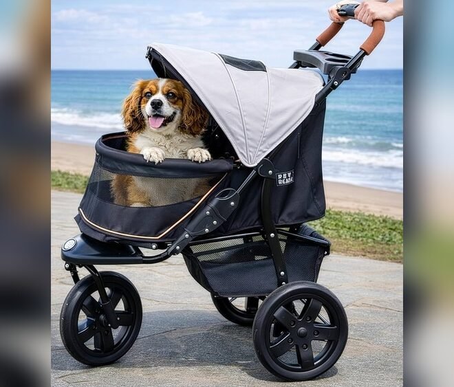 How to Fold Pet Gear No Zip Stroller Easily in 3 Steps