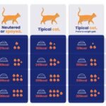 Should I Feed My Cat Wet Food Everyday? Expert Advice Inside