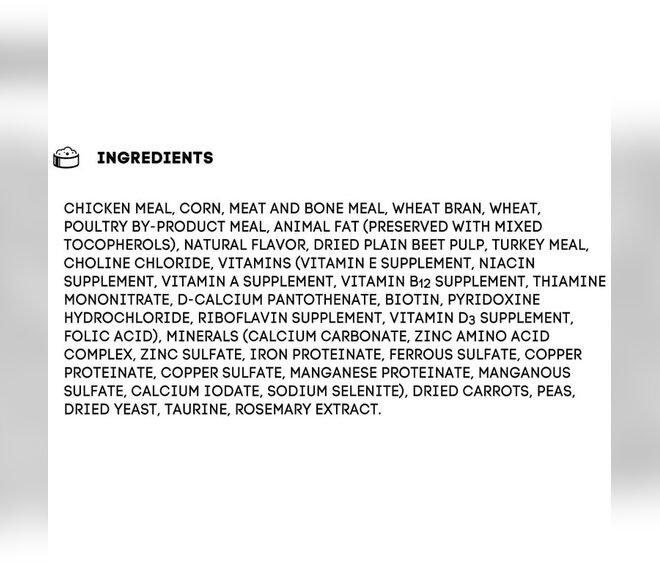 Special Kitty Cat Food Ingredients: What Every Cat Owner Should Know