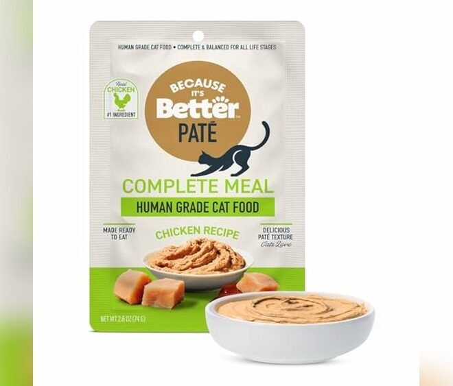 Which is Better for Cats Wet Or Dry Food: Top Wet Food Picks Reviewed