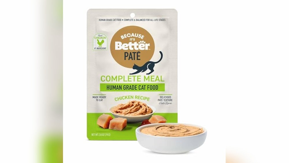 Which is Better for Cats Wet Or Dry Food